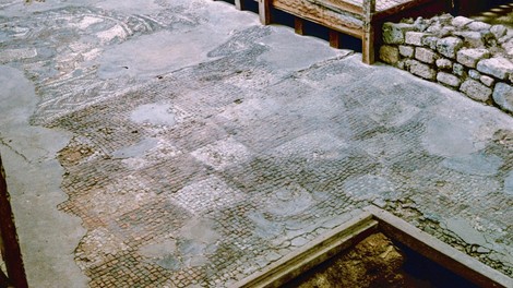 brading vila otok wright kosti ostanki rimljani zgodovina preteklost arheologija smrt nasilje vojne rimski imperij velika britanija