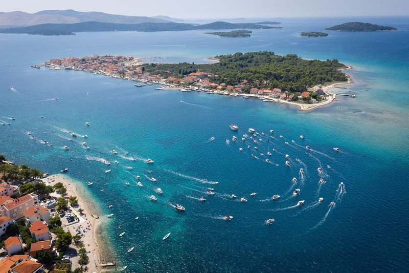 jadran jadransko morje ribe voda zivali ekosistem narava okolje skrb tuje vrste