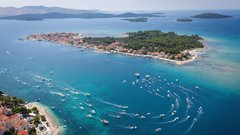 jadran jadransko morje ribe voda zivali ekosistem narava okolje skrb tuje vrste