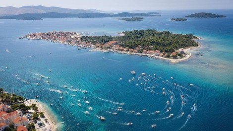 jadran jadransko morje ribe voda zivali ekosistem narava okolje skrb tuje vrste