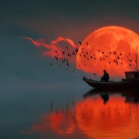 krvava luna horoskop 4 znamenja astrologija zivljenje odnosi sreca spremembe novost drugace priloznost konec zacetek