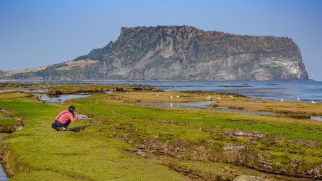 Jeju