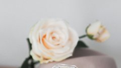Razglašen za najboljši ženski parfum vseh časov: uteleša čisto eleganco, obožujejo ga tudi Slovenke