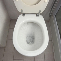 wc školjka