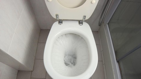 wc školjka