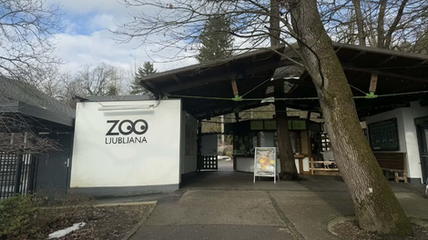 Zoo Ljubljana