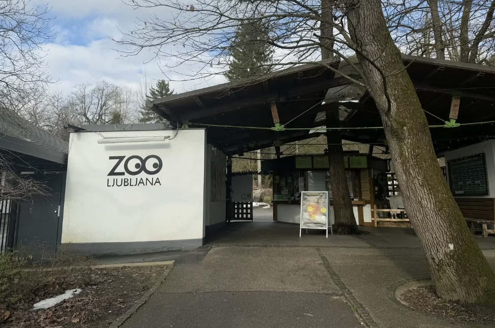 Žalostna vest iz ZOO Ljubljana: poginila je priljubljena žival, ki je več kot 20 let razveseljevala obiskovalce (foto: Marijana Podhraski)