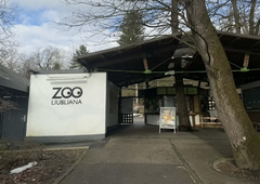 Žalostna vest iz ZOO Ljubljana: poginila je priljubljena žival, ki je več kot 20 let razveseljevala obiskovalce