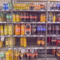 gazirane pijace ledvice zdravje skodljivo sladkor raziskava telo clovek napitek
