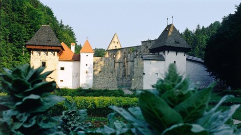 Zicka kartuzija
