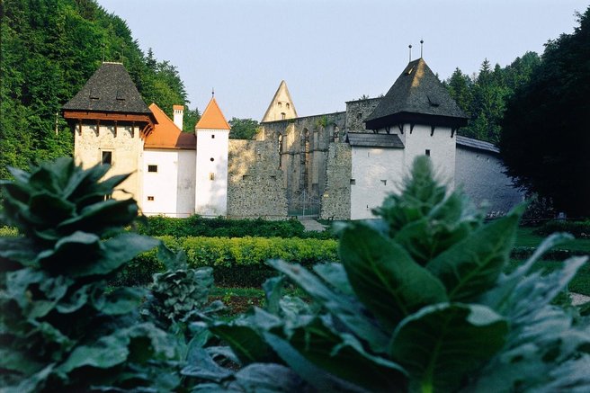 Zicka kartuzija