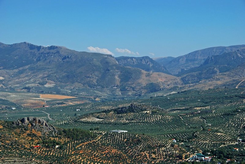 Jaen