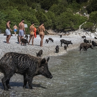 Atokos Grčija