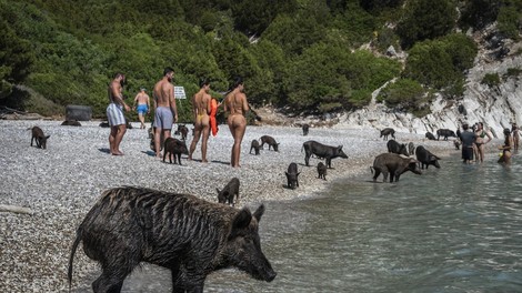Atokos Grčija