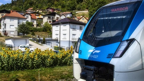 Vsaka sončnica ob železniški progi nosi sporočilo: prihodnost ustvarjamo drug za drugega