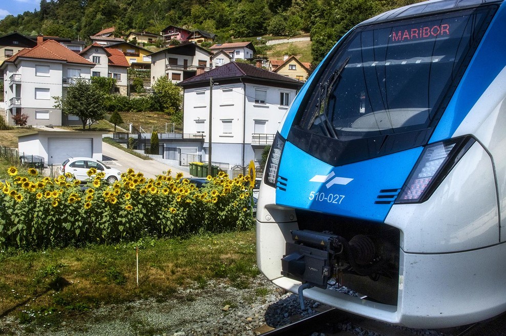Vsaka sončnica ob železniški progi nosi sporočilo: prihodnost ustvarjamo drug za drugega (foto: Miško Kranjec / Slovenske železnice)