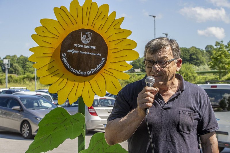 Vsaka sončnica ob železniški progi nosi sporočilo: prihodnost ustvarjamo drug za drugega