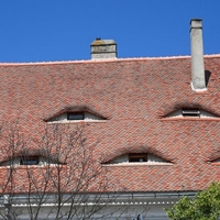 Nenavaden prizor v evropskem mestu: na strehah hiš se vrstijo skrivnostne oči, ki so postale prava znamenitost (FOTO)