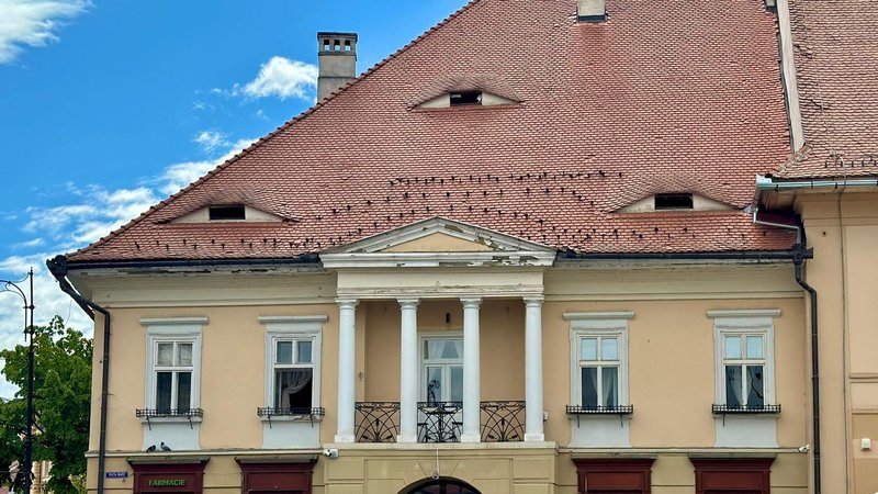 Nenavaden prizor v evropskem mestu: na strehah hiš se vrstijo skrivnostne oči, ki so postale prava znamenitost (FOTO)