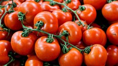 NASA v vesolje poslala 12,5 milijona semen paradižnikov: 6 let zatem so jih posadili na Zemlji, kar je sledilo, pa jih je pustilo odprtih ust