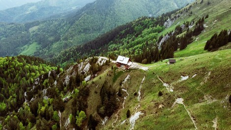 Golica