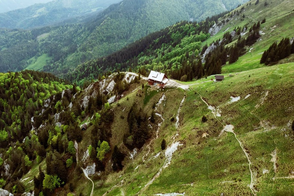 Golica