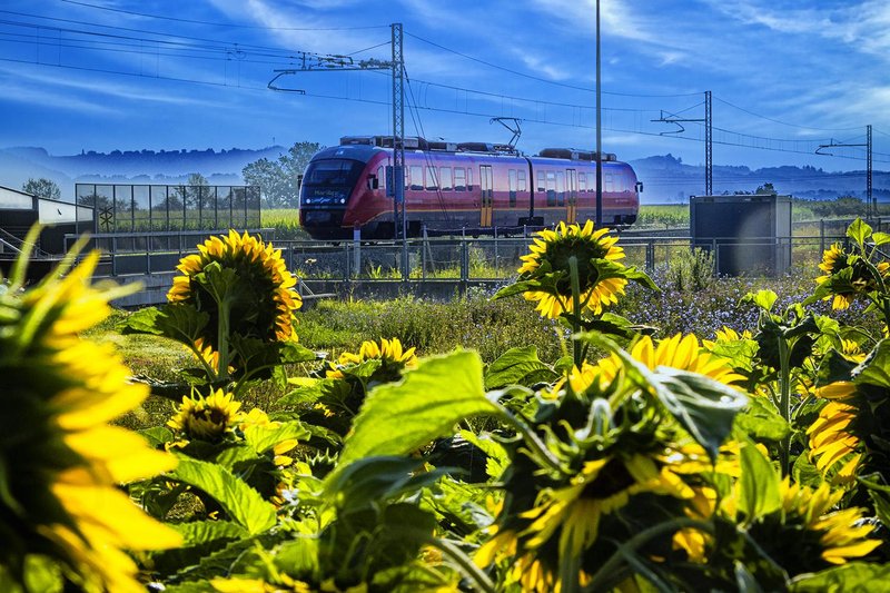 Slovenske železnice s sončnicami do prestižne svetovne nagrade UIC Sustainability Impact Award 2026 za najboljšo zeleno komunikacijsko kampanjo na svetu