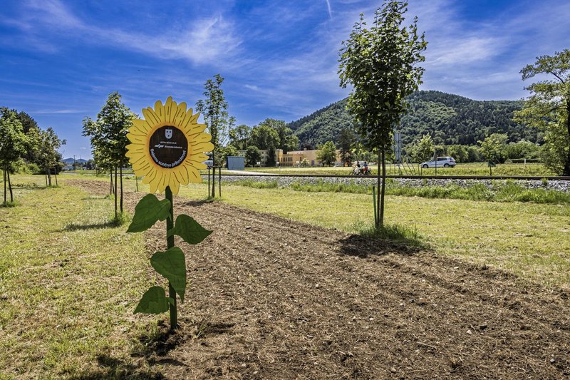 Slovenske železnice s sončnicami do prestižne svetovne nagrade UIC Sustainability Impact Award 2026 za najboljšo zeleno komunikacijsko kampanjo na svetu