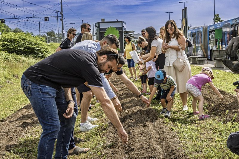 Slovenske železnice s sončnicami do prestižne svetovne nagrade UIC Sustainability Impact Award 2026 za najboljšo zeleno komunikacijsko kampanjo na svetu