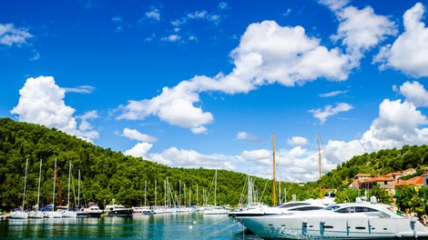 jadran jadransko morje hrvaska balast balastne vode okolje morje voda tezava znanstveniki raziskava zivali