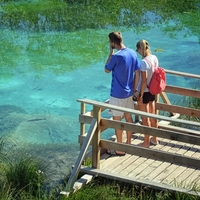 Zelenci