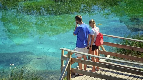Zelenci