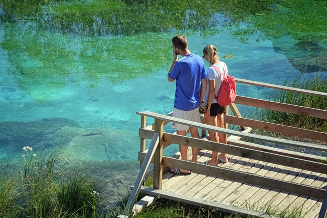 Zelenci