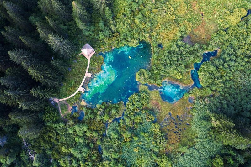 Zelenci