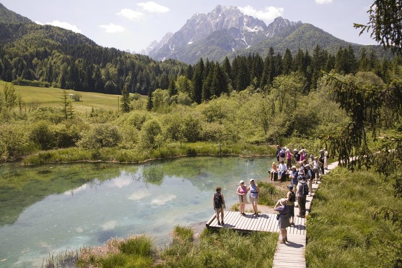 Zelenci