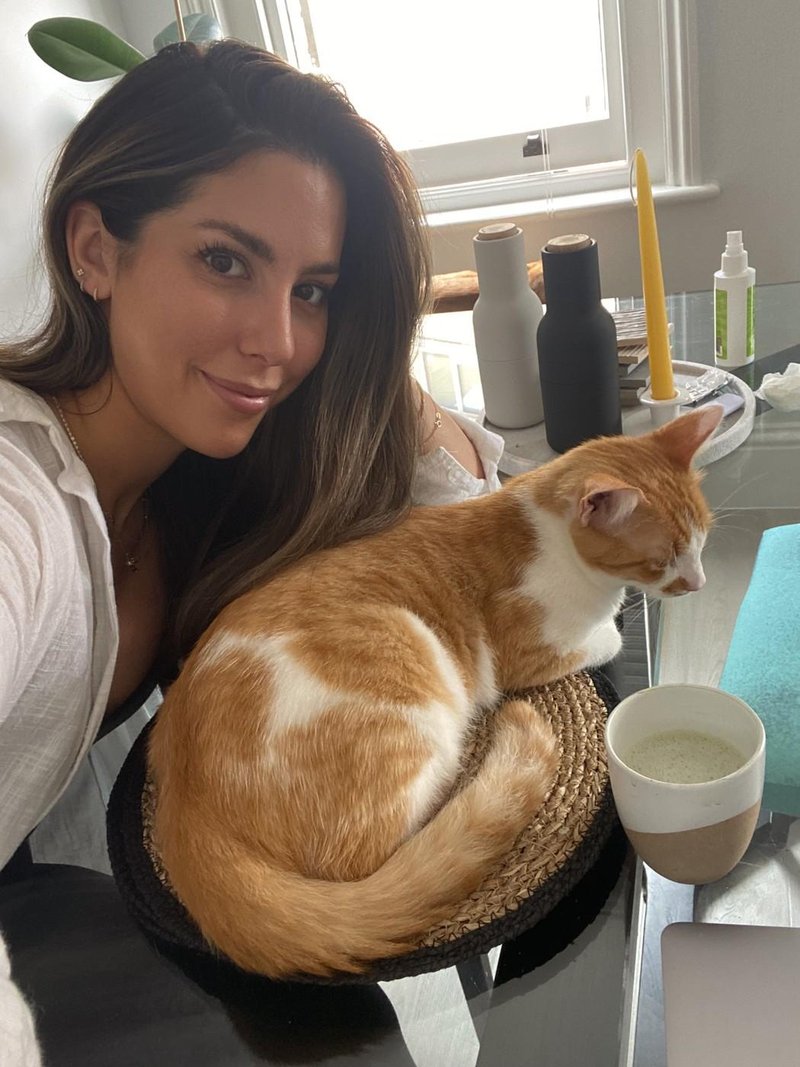 Eva Mestrovic prenova hisa Kent najdba