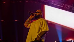 
                                                         Stožice, koncert