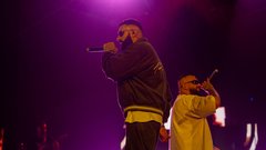 
                                                         Stožice, koncert