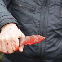 Krvavi pohod na srednji šoli: 19-letnik z nožem sejal grozo, med ranjenimi tudi učitelji!