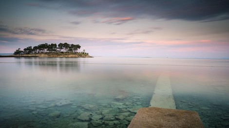 morska kumara narava morje jadran jadransko morje hrvaska crna gora nevarnost voda zivali rab otok