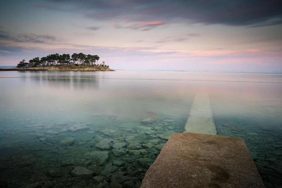 morska kumara narava morje jadran jadransko morje hrvaska crna gora nevarnost voda zivali rab otok