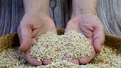 jesprenj jecmen zdravje babice jugoslavija kulinarika recept kosti srce ozilje prebava nasvet ideja