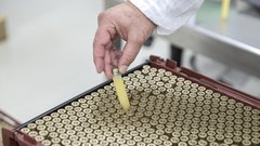medex matični mleček raziskava med zdravje slovenija