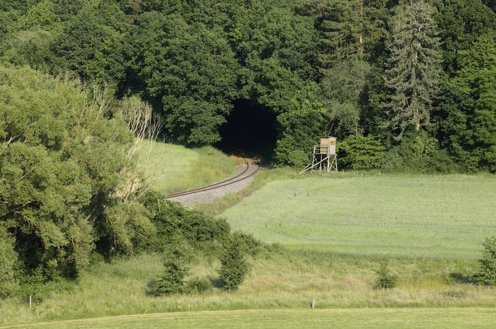 Fotografija je simbolična. (foto: Profimedia)