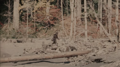 bigfoot