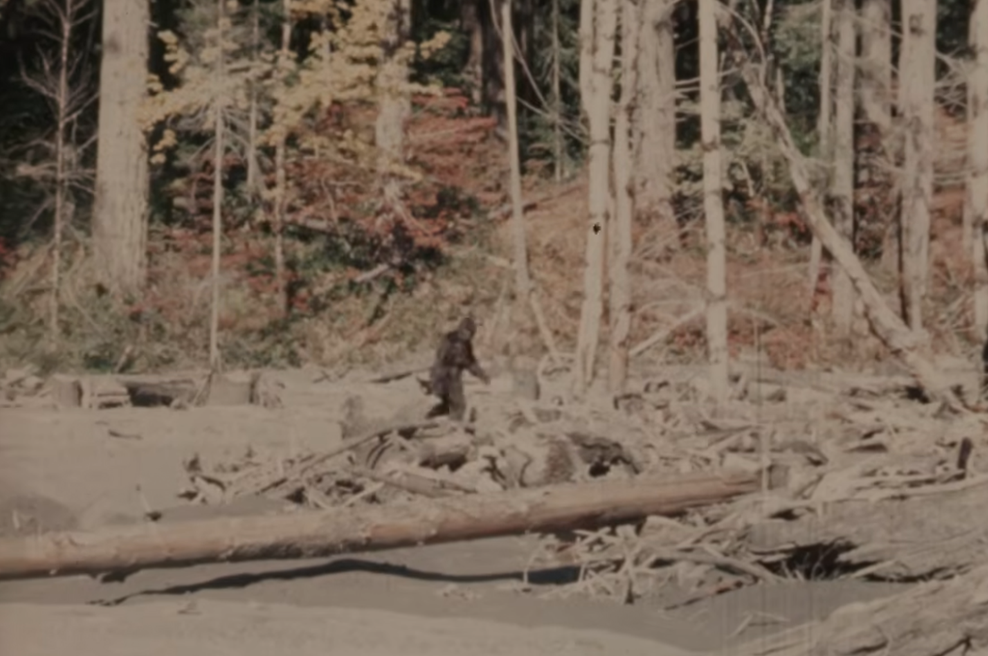 Resnica o najslavnejšem posnetku Bigfoota končno razkrita (foto: Zaslonska slika/Youtube/Capturing Bigfoot)