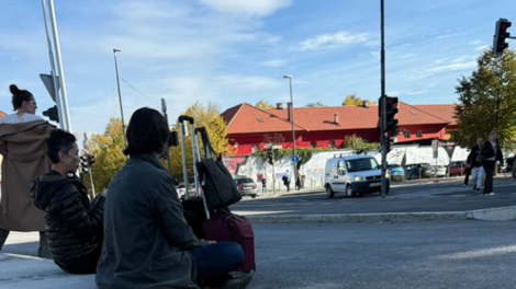 avtobusna postaja Ljubljana potniki plocnik