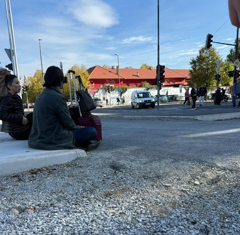 avtobusna postaja Ljubljana potniki plocnik
