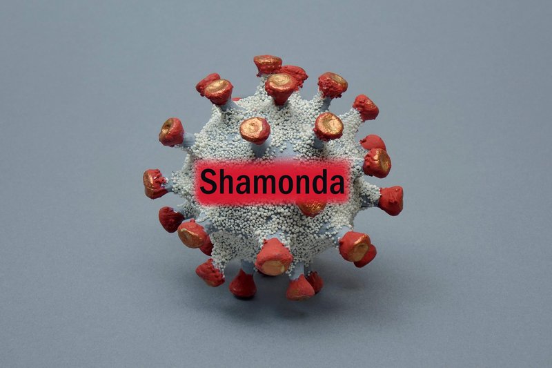 virus shamonda