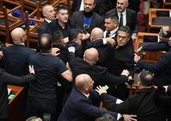 Fizični obračun v parlamentu: posredovati je moralo parlamentarno varnostno osebje